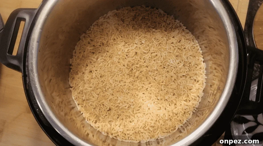 Instant Pot Brown Rice Recipe 9 Cooked brown rice in the Instant Pot