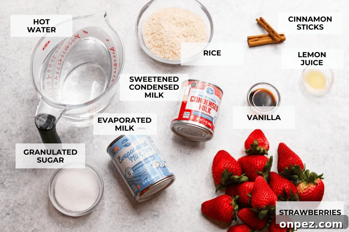 Ingredients for homemade strawberry horchata. Ingredients labeled to make strawberry horchata.