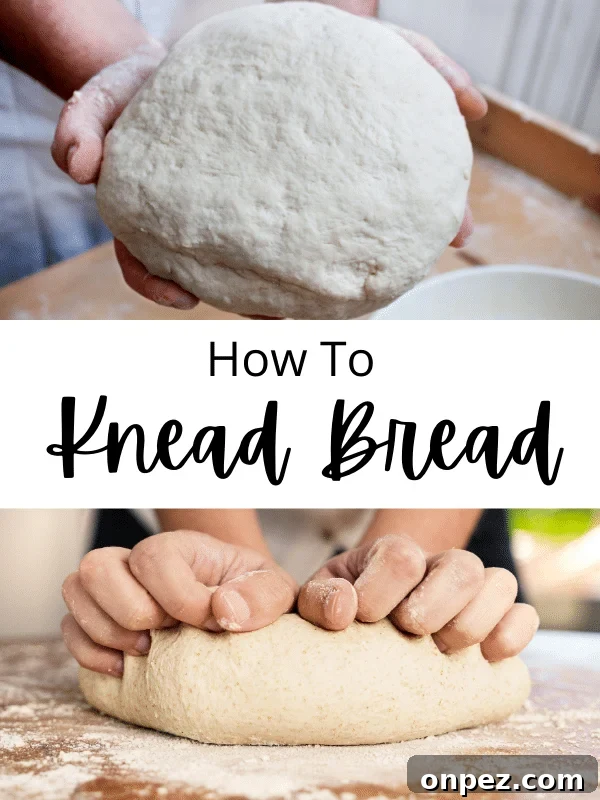 dough in hands and hands kneading dough