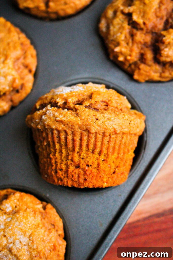 Freshly baked pumpkin muffins