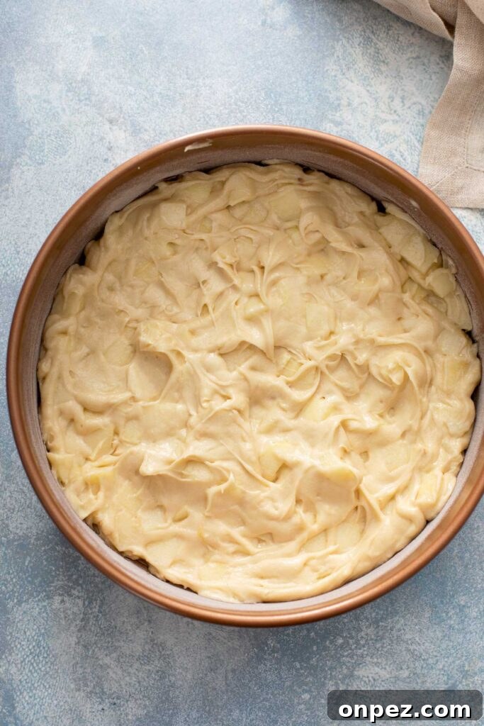 Thick apple cake batter in a round 9-inch baking pan ready to be baked in the oven.