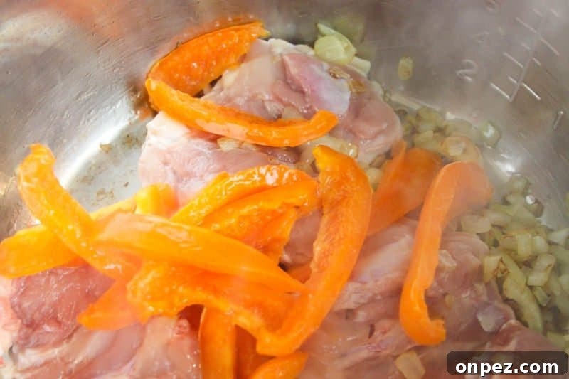 Instant Pot Chicken Stew Recipe