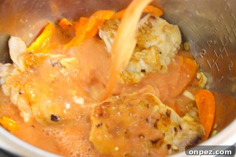 Instant Pot Chicken Stew Recipe