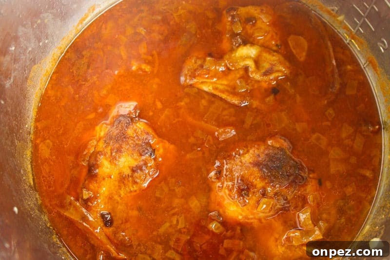 Instant Pot Chicken Stew Recipe
