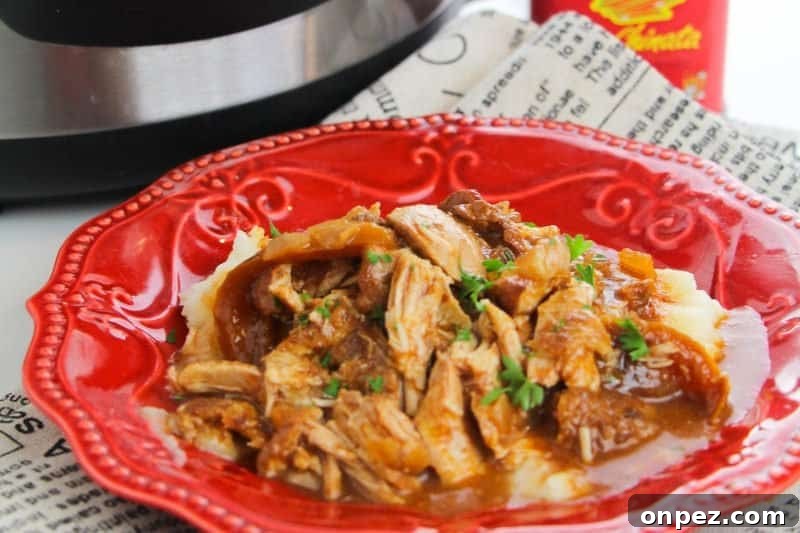 Instant Pot Chicken Stew Recipe