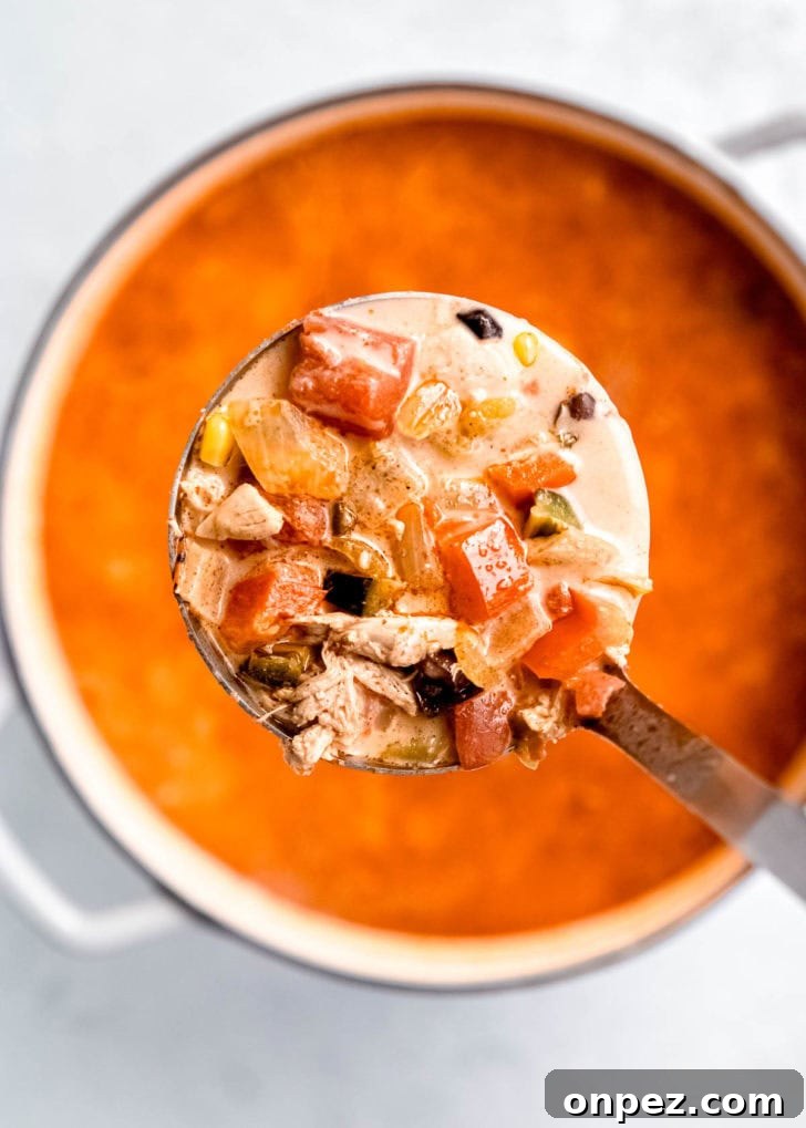 finished chicken poblano soup served in a bowl