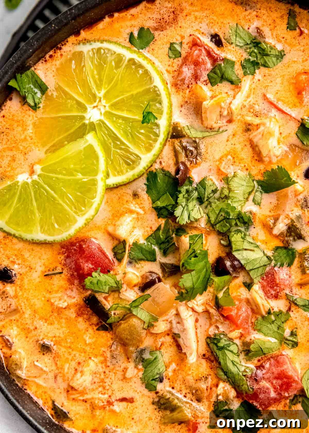 close up image of chicken poblano soup