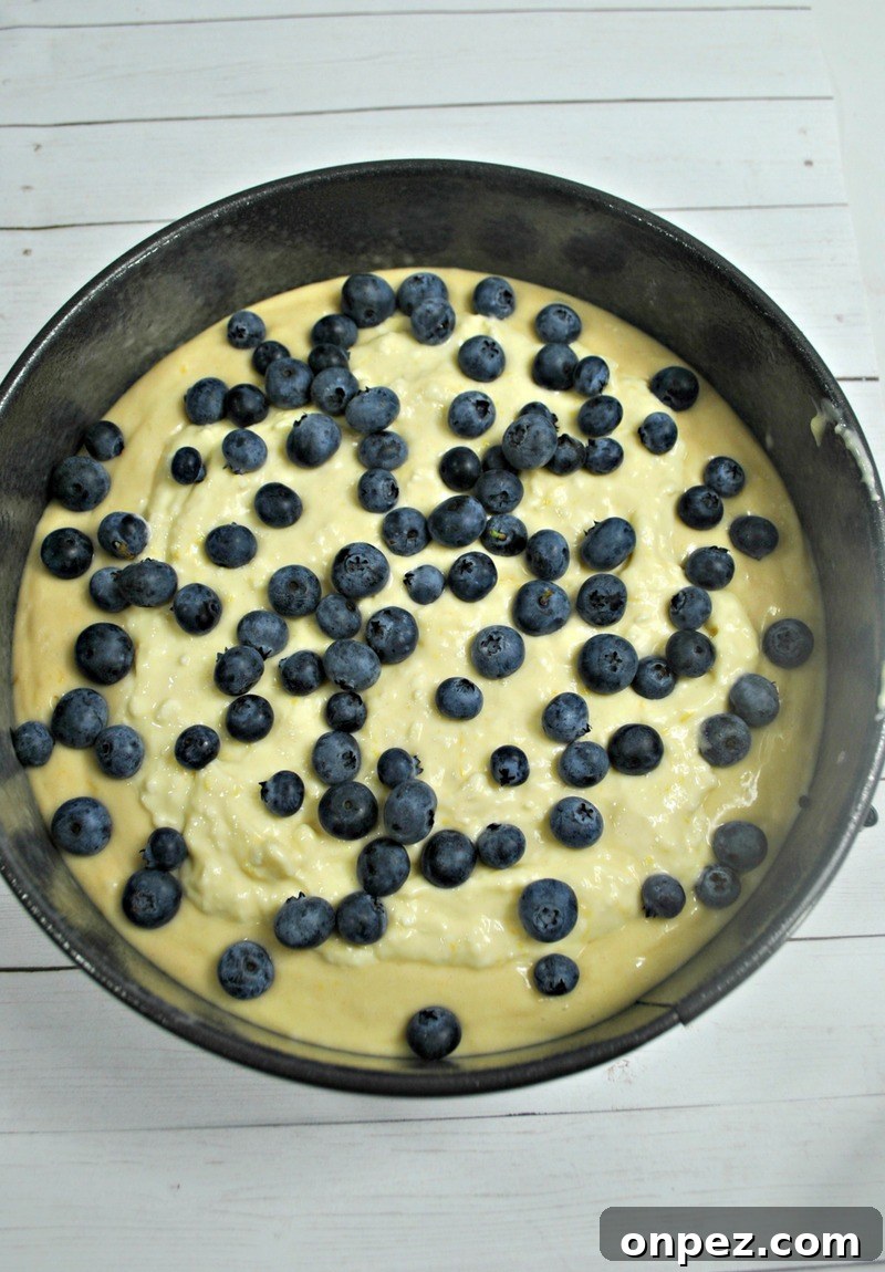 Blueberry Lemon Cake Recipe adding fresh blueberries before crumb topping