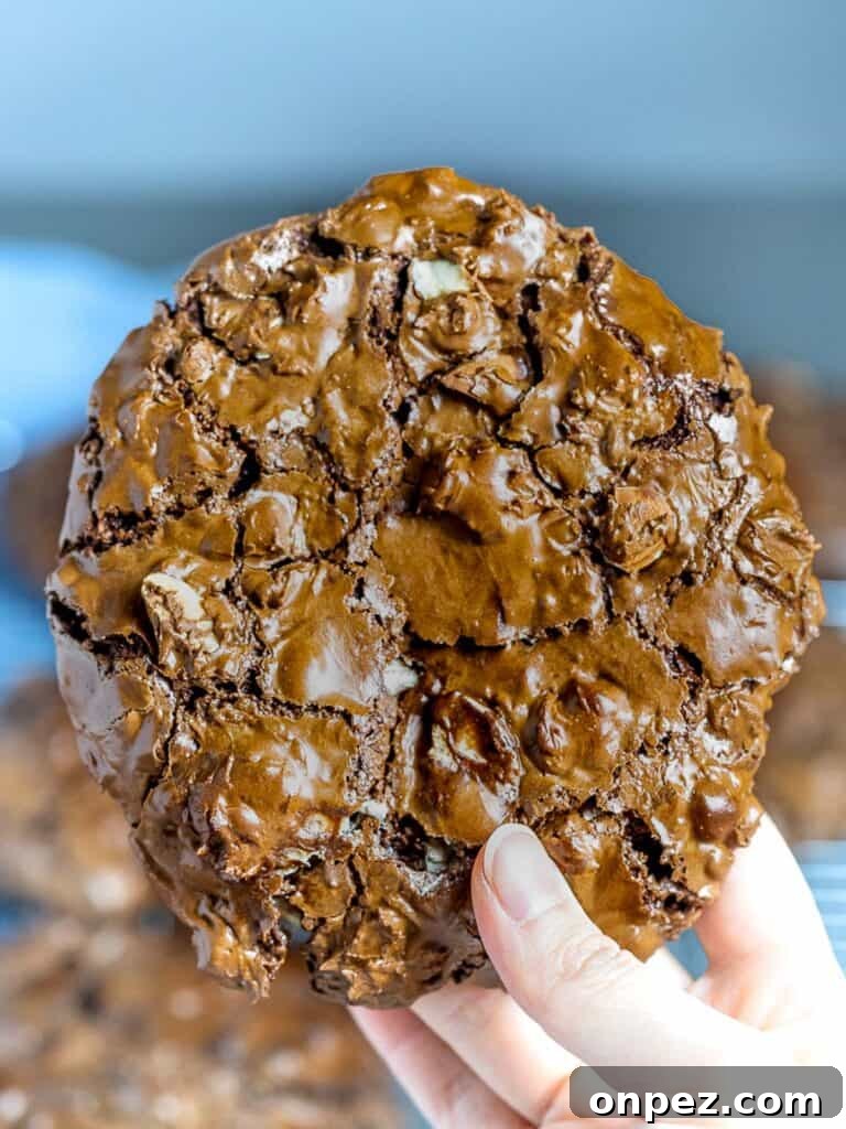 big chocolate cookie held in hand