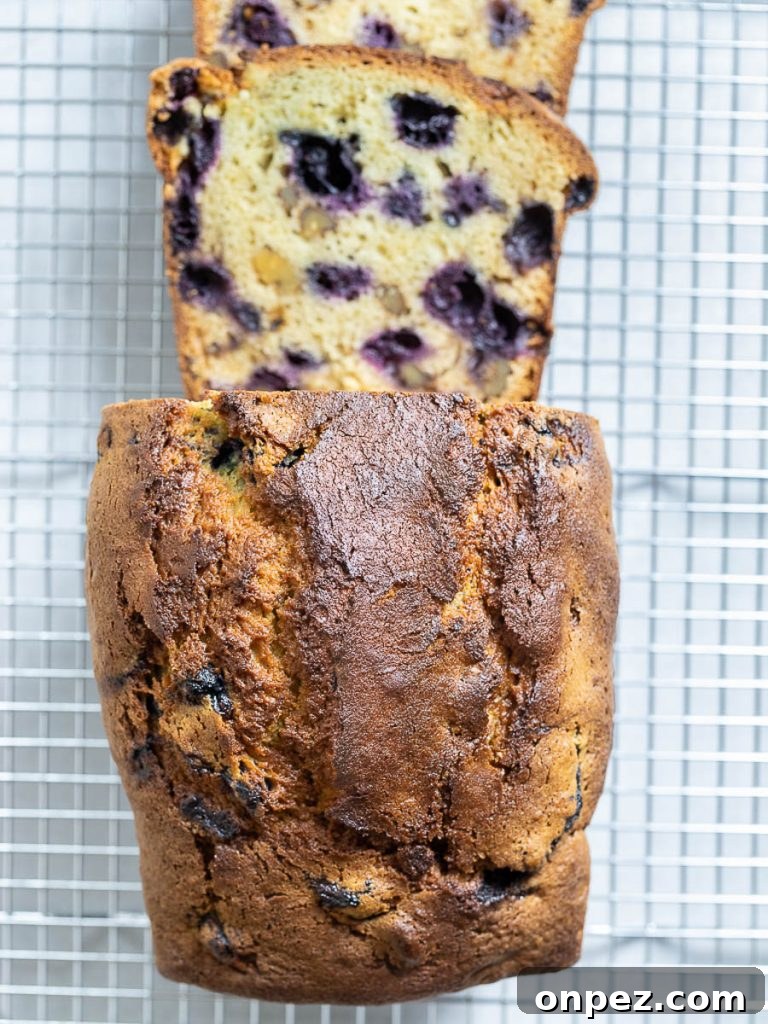 Lemon blueberry bread with a golden brown crunchy crust on a wire rack