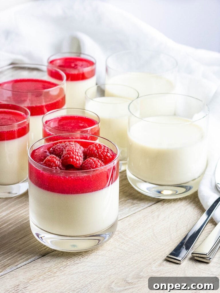 panna cotta with raspberries and red berry sauce
