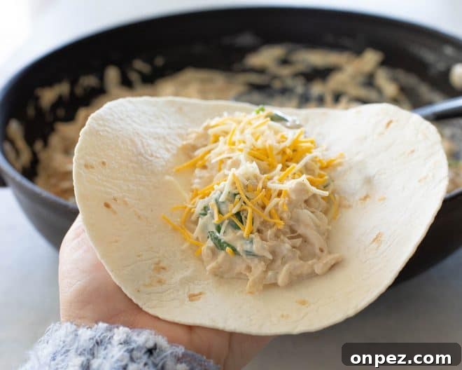 Creamy Chicken and Spinach Enchiladas 5 Tortilla filled with chicken and cheese