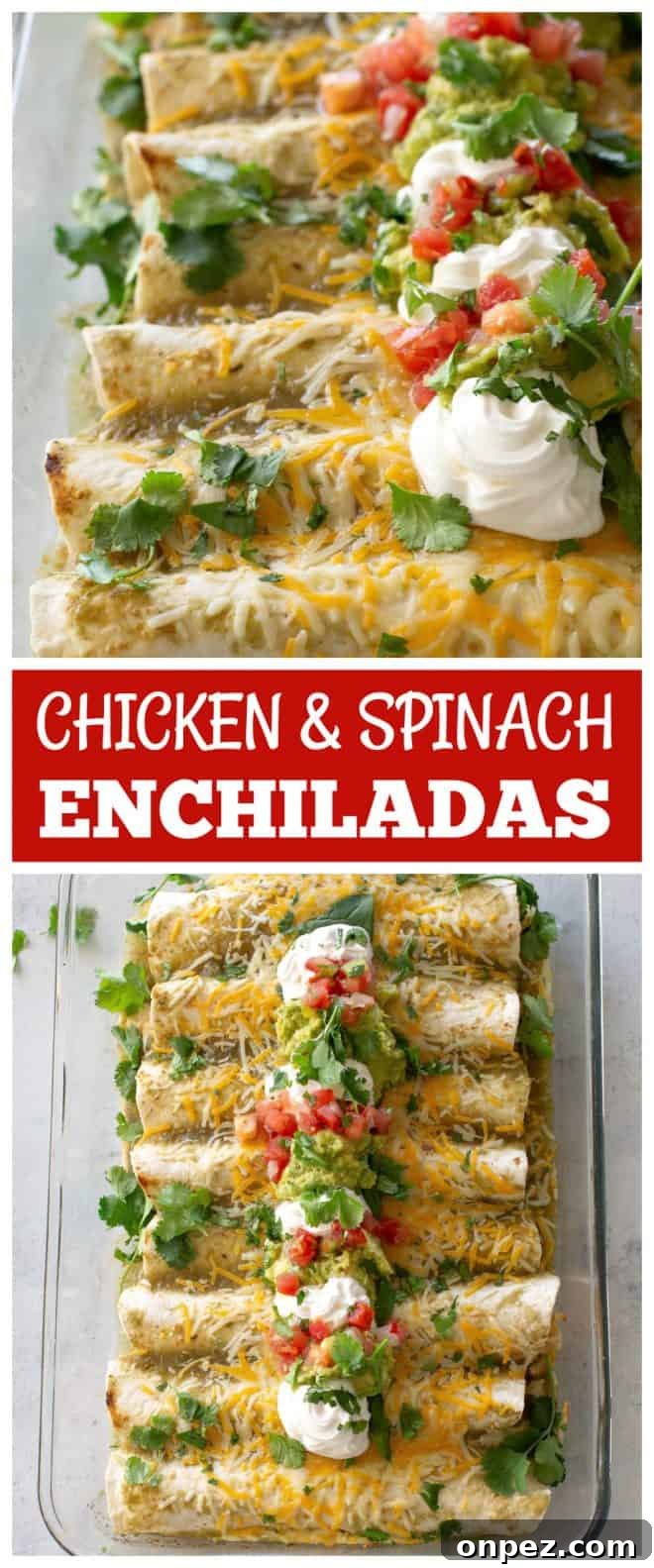 Creamy Chicken and Spinach Enchiladas 10 Chicken and Spinach Enchiladas