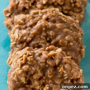 Chocolate No-Bake Cookies Recipe
