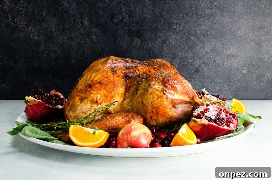 Turkey to accompany the top 10 Thanksgiving sides