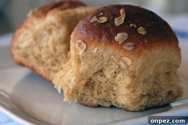 Oatmeal Molasses Rolls