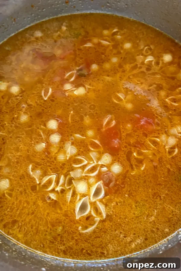 pasta and salsa in instant pot