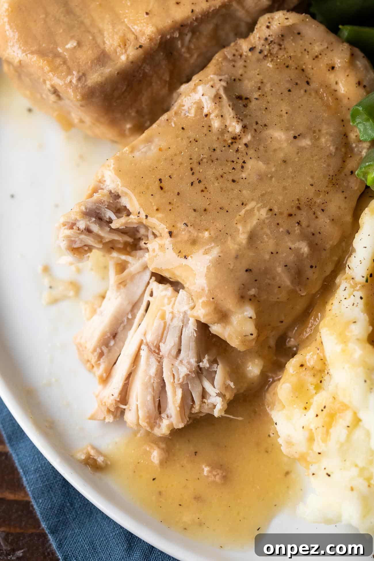 Slow Cooker Pork Chops in Savory Garlic-Herb Sauce 4 Crock Pot Pork Chops | Easy Slow Cooker Pork Chops | Boneless Pork Chops Crock Pot Recipe #CrockPot #SlowCooker #PorkChops #Gravy