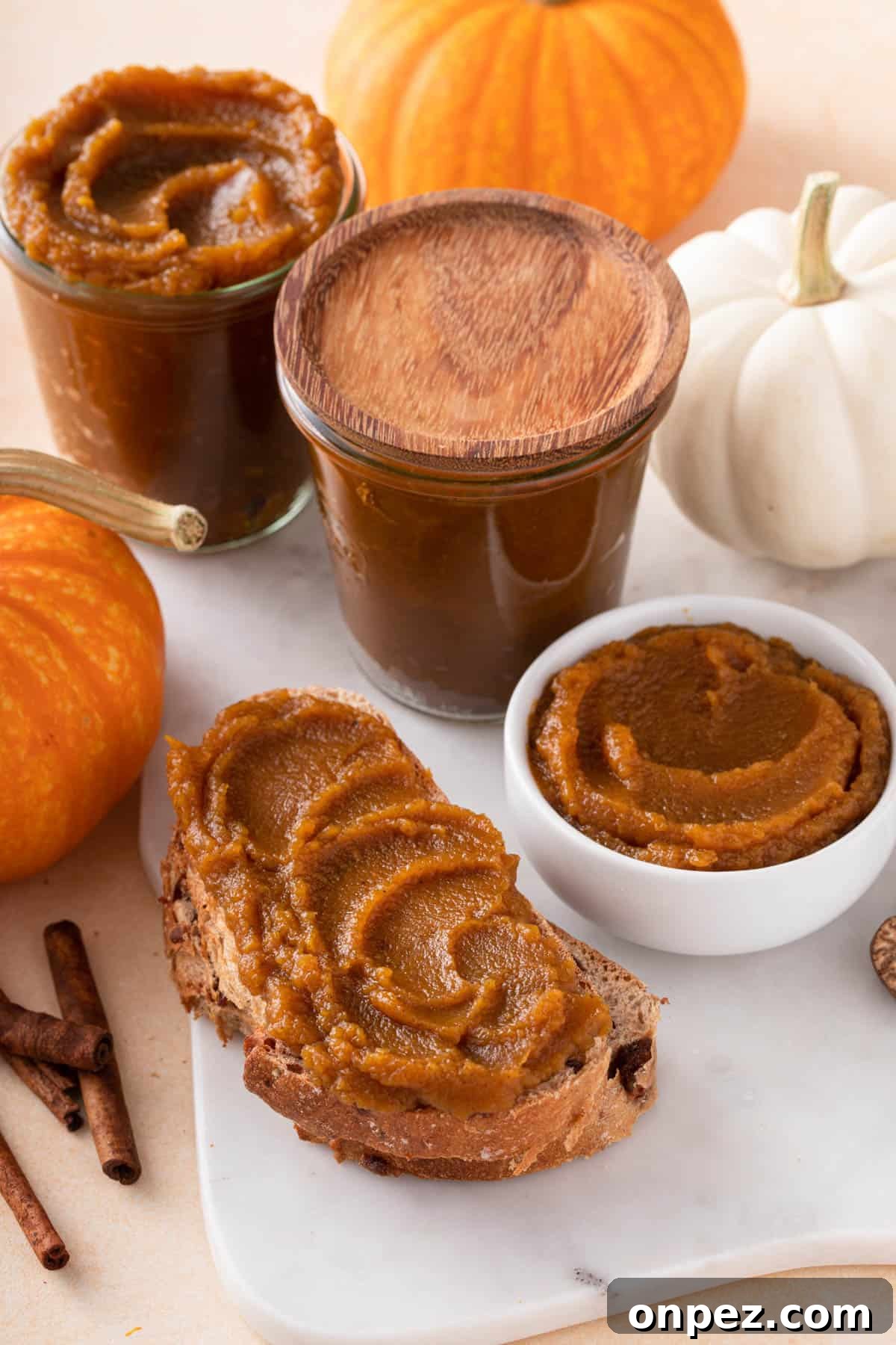 a piece of toast with pumpkin spread on top