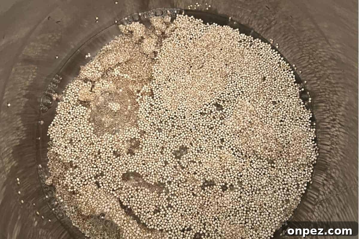 Fluffy Instant Pot Quinoa Recipe 4 Quinoa and Water in an Instant Pot.