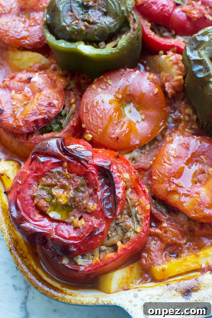 A close up of a pan of cooked gemista or Greek stuffed peppers and tomatoes