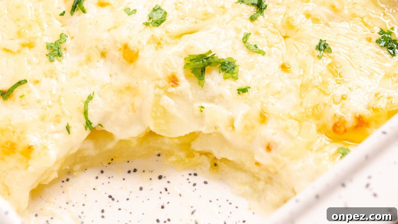 Close-up of a cheesy scalloped potatoes dish in a white baking dish, garnished with parsley.