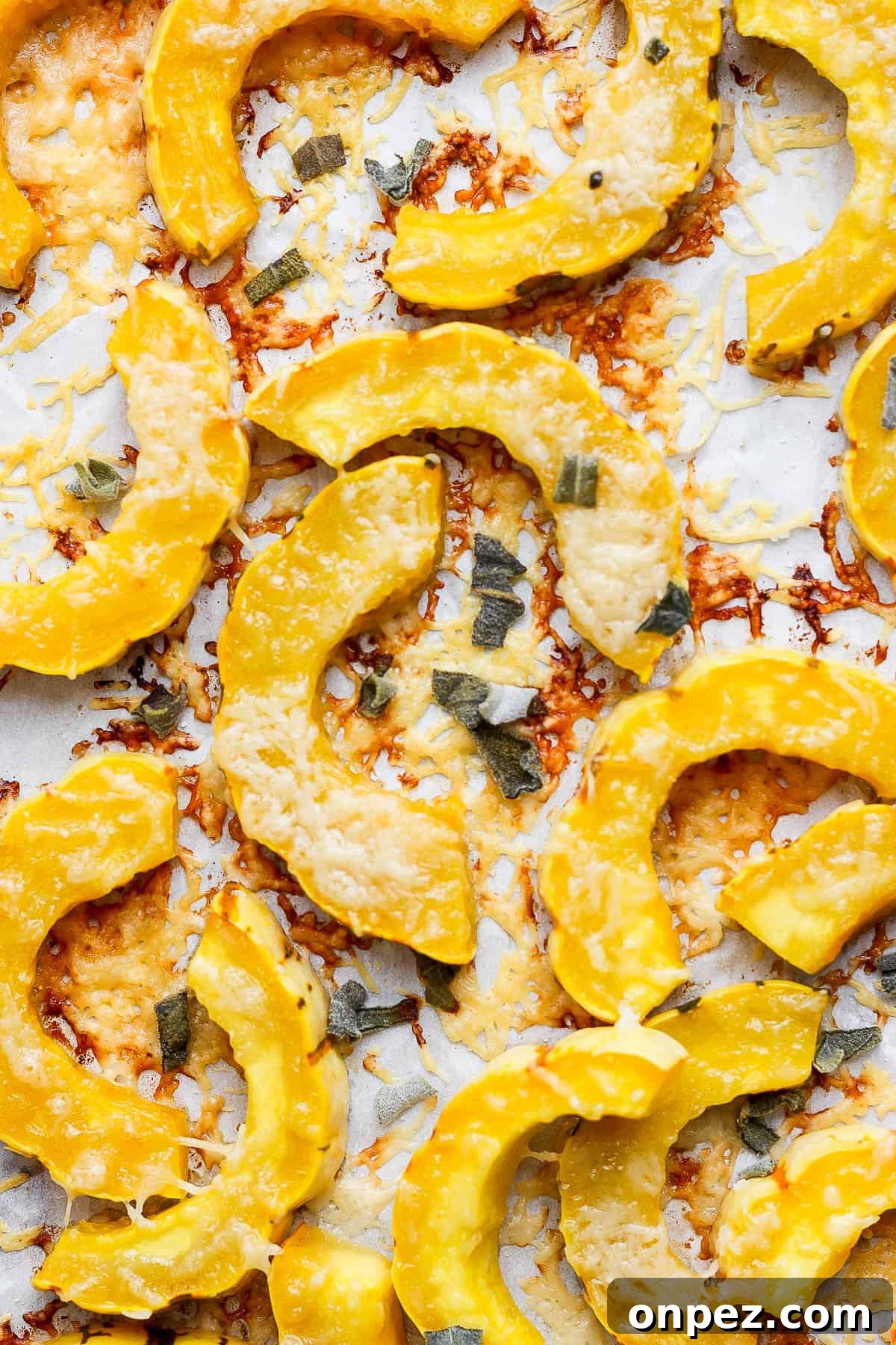 Crispy Roasted Delicata Squash with Parmesan 2 Sliced and roasted delicata squash on a parchment lined baking sheet.