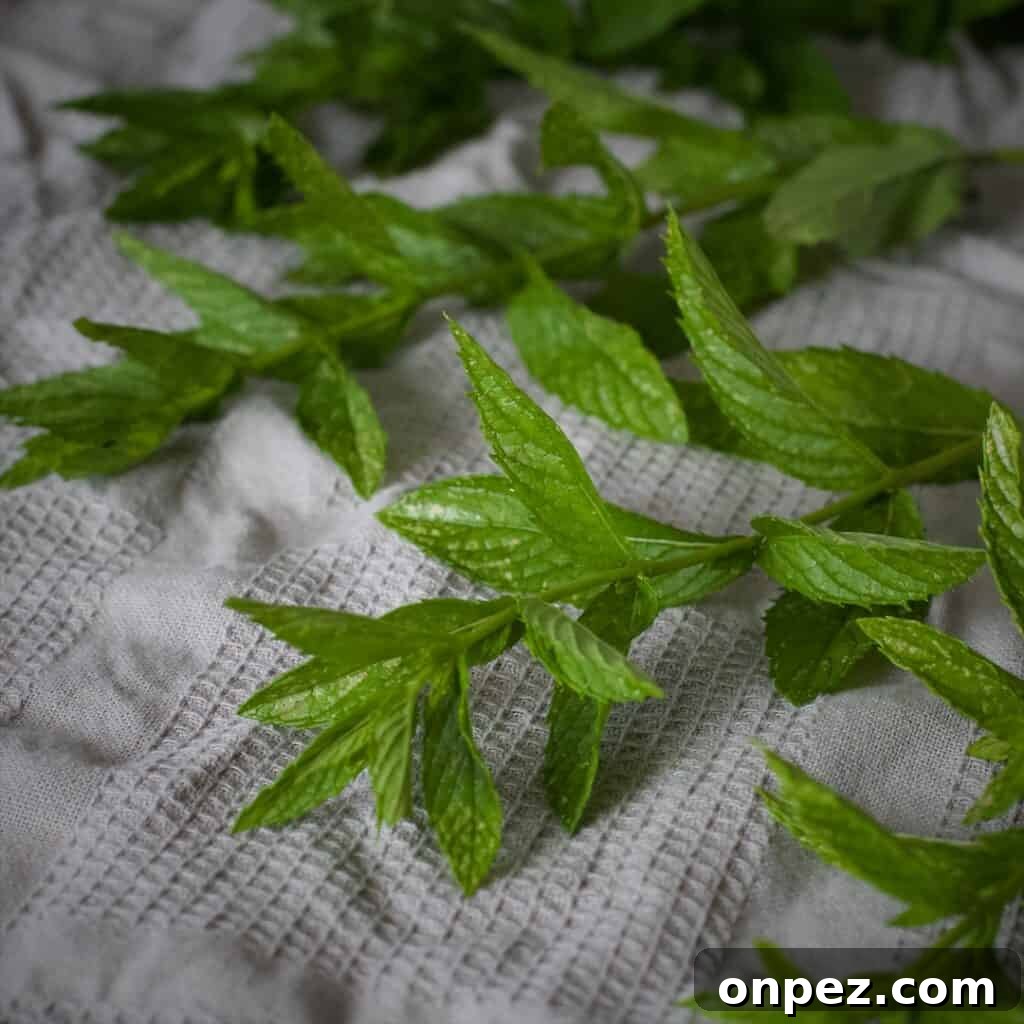 Homemade Mint Sauce Recipe for Lamb and Roasts 4 Fresh mint stems and leaves on a grey tea towel to dry