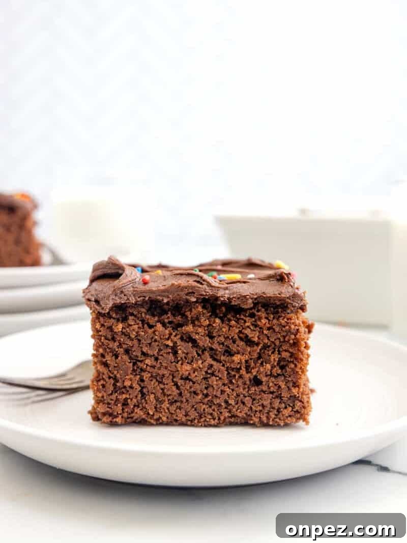 Classic Depression-Era Chocolate Cake (No Eggs, No Milk) 2 a slice of chocolate depression cake on a white plate.