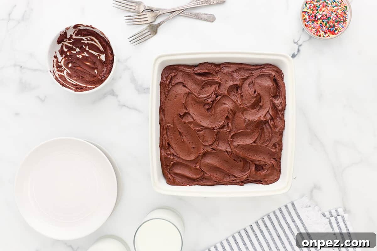 Classic Depression-Era Chocolate Cake (No Eggs, No Milk) 9 chocolate cake in a white dish with icing and sprinkles.