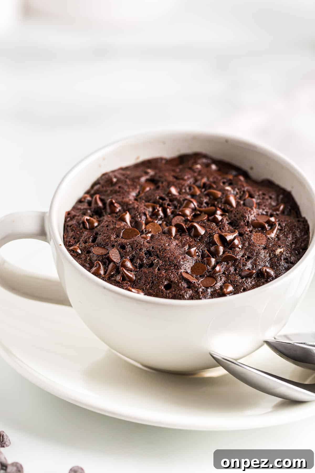 Classic Depression-Era Chocolate Cake (No Eggs, No Milk) 12 Chocolate Mug Cake
