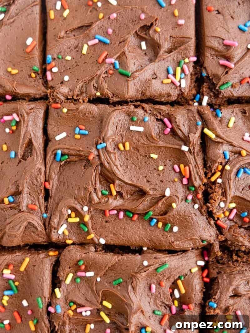 Classic Depression-Era Chocolate Cake (No Eggs, No Milk) 3 close cup on creamy chocolate frosting and sprinkles, spread on top of a chocolate cake.