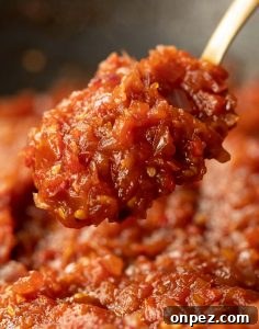 Tomato Chutney on Spoon close up shot of chutney on spoon hovered over saucepan