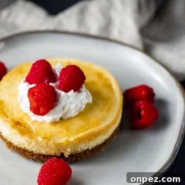 air fryer cheesecake.