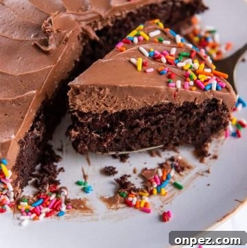 Air fryer chocolate cake with sprinkles on top.