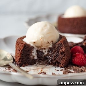 air fried chocolate lava cake with ice-cream.