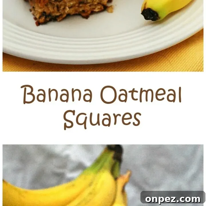 Banana-oatmeal squares recipe