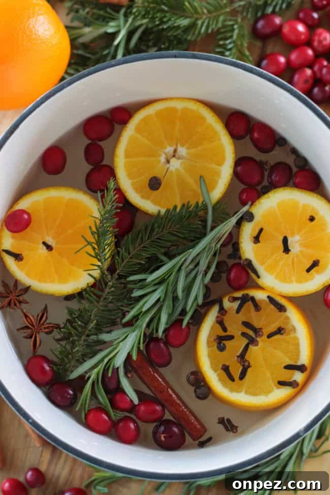 Holiday Simmer Pot Potpourri Ideas to Scent Your Home 2 pot of simmer potpourri