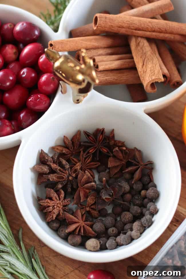 Holiday Simmer Pot Potpourri Ideas to Scent Your Home 4 Bowls of cranberries, cinnamon sticks and spices.