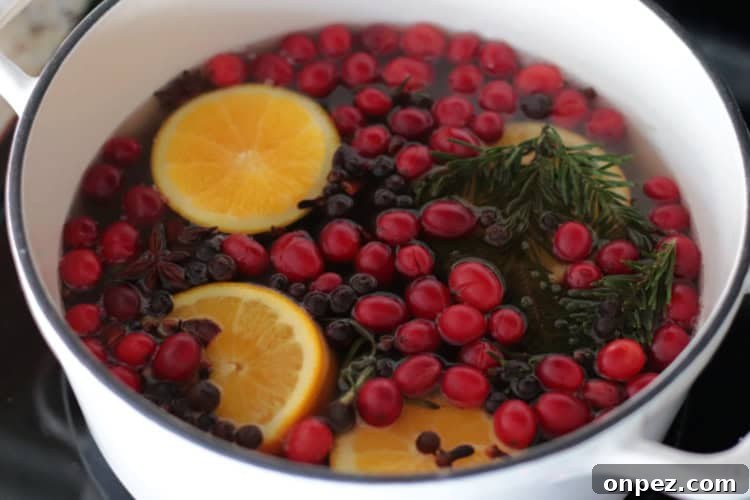 Holiday Simmer Pot Potpourri Ideas to Scent Your Home 5 potpourri simmering on the stove