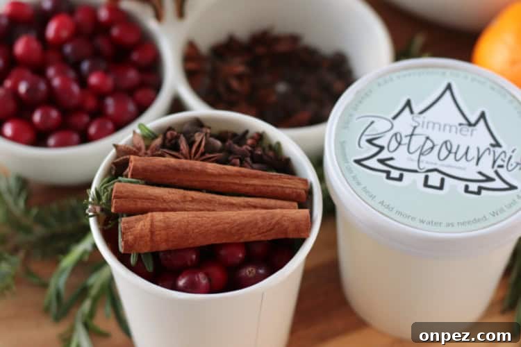 Holiday Simmer Pot Potpourri Ideas to Scent Your Home 6 cups with simmer potpourri ingredients