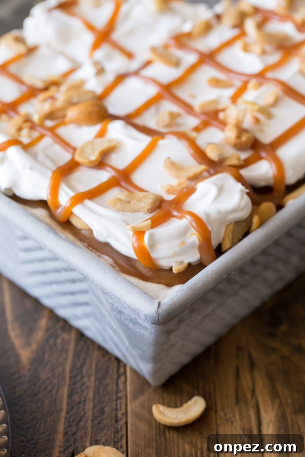 Homemade Caramel Cashew Ice Cream Recipe 4 Caramel Cashew Ice Cream Dessert in a baking dish.