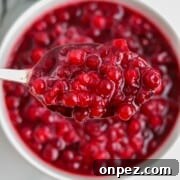 Close up of lingonberry sauce on a spoon.