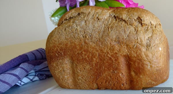 Classic Anadama Bread with Molasses Recipe 3 Loaf of Anadama Bread