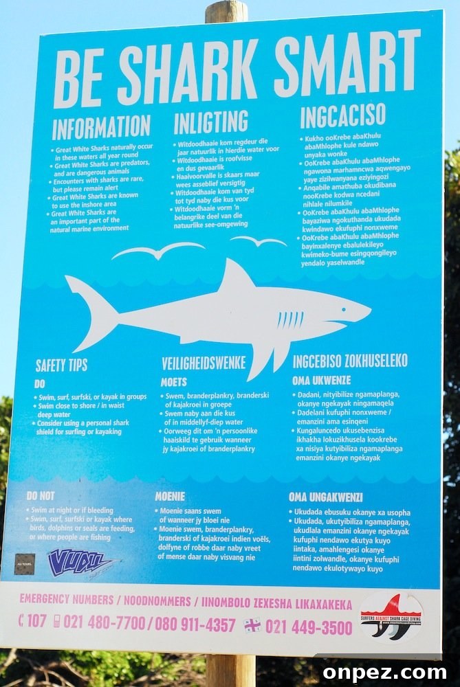 Sunday at Llandudno Beach: Sights and Activities 4 Warning sign at the beach entrance