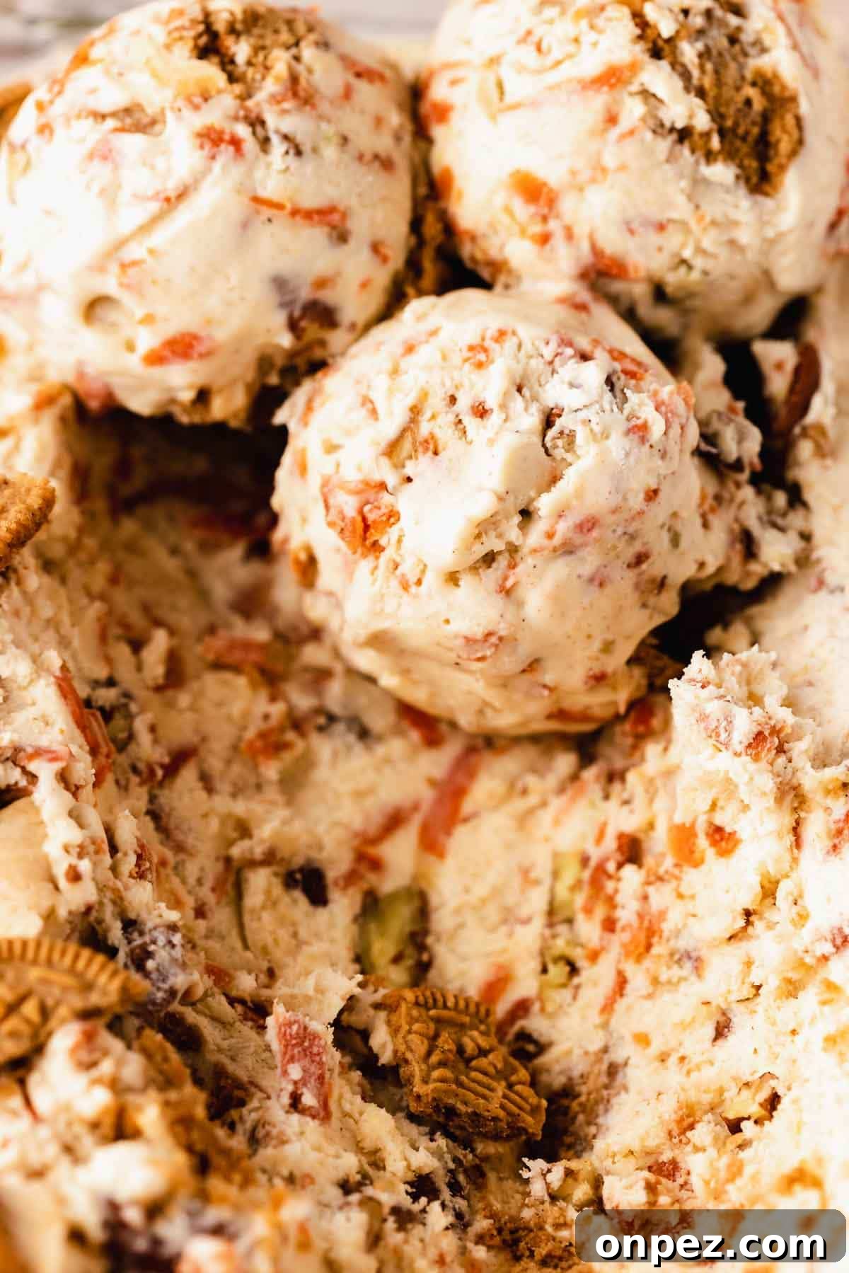 Creamy Carrot Cake Ice Cream Recipe 9 closeup of no churn carrot cake ice cream