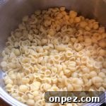 Grandma's Macaroni and Cheese Recipe 10 Drain cooked macaroni