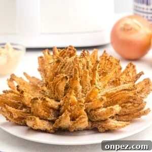 Golden crispy sliced onion with air fryer in background