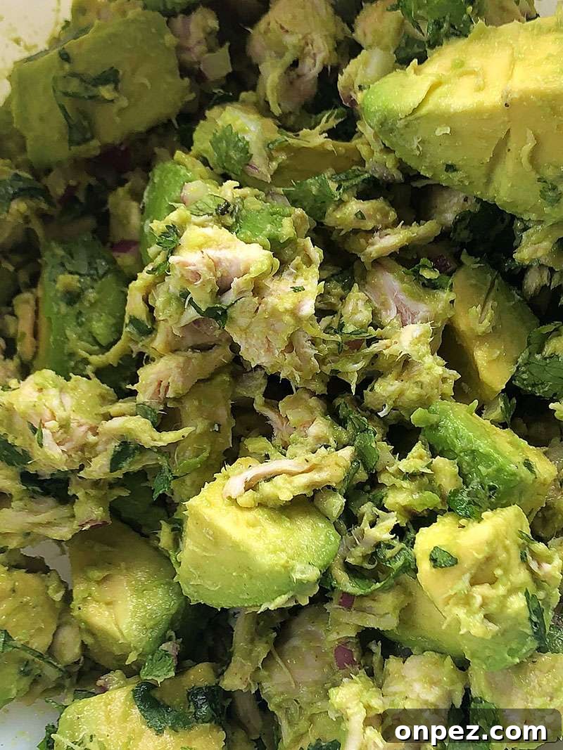 Close up of the Avocado Chicken Salad