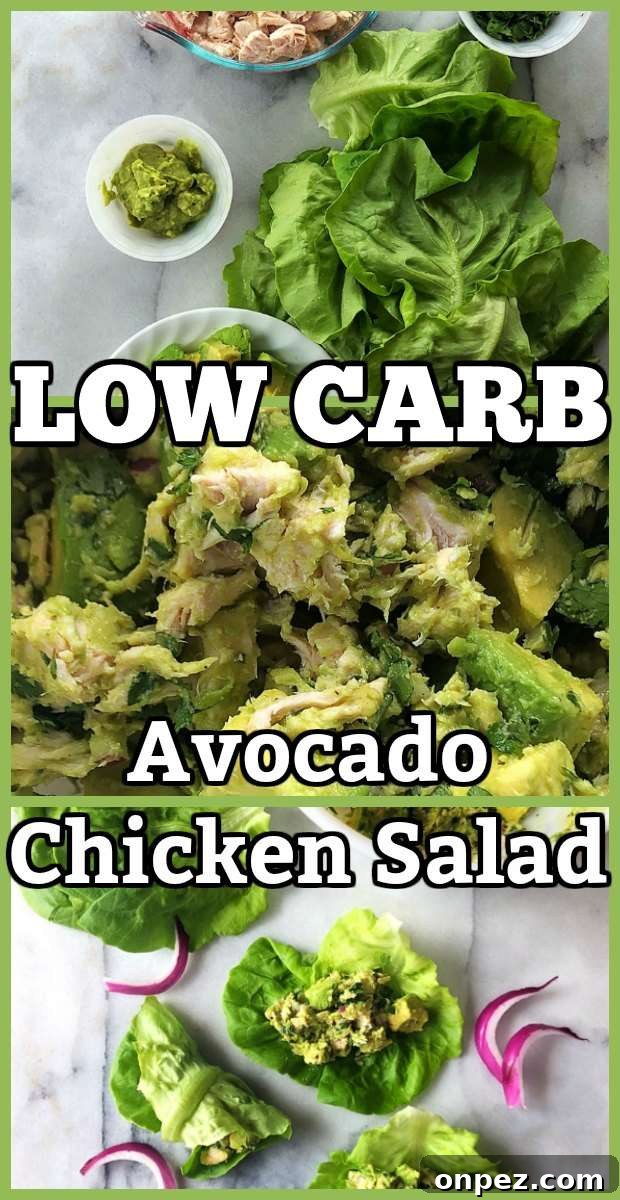 low carb avocado chicken salad chicken lettuce wraps avocado wraps lettuce chicken salad